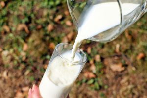 スタバでは5種類のミルクを飲むことができる【変更可能】